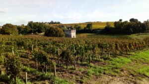 Les Bohémielles vignoble-région-Bordeaux